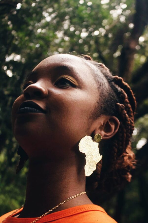 Africa hammered Earrings